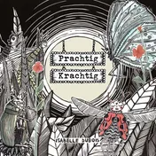 Omslag van Prachtig Krachtig