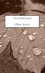 Omslag van Novemberregen