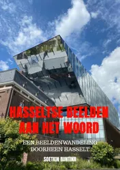 Omslag van Hasseltse beelden aan het woord
