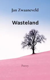 Omslag van Wasteland