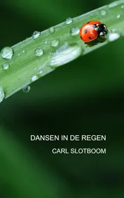 Omslag van DANSEN IN DE REGEN