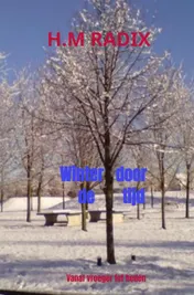 Omslag van Winter door de tijd