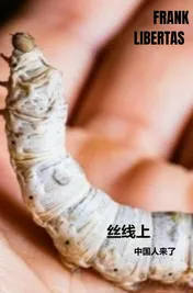 Omslag van 丝线上