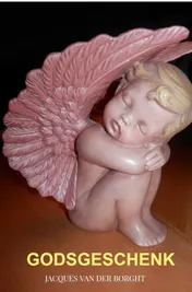 Omslag van Godsgeschenk