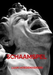 Omslag van Schaamspel