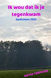 Omslag van Ik wou dat ik je tegenkwam