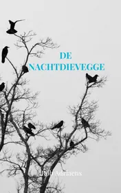 Omslag van De Nachtdievegge
