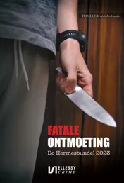 Omslag van Fatale ontmoeting