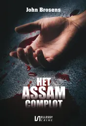 Omslag van Het Assam complot