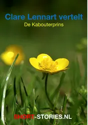 Omslag van De kabouterprins