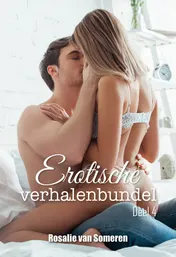 Omslag van 4