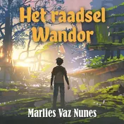 Omslag van Het raadsel Wandor