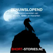 Omslag van Zenuwslopend