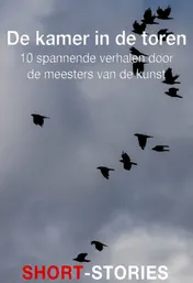 Omslag van De kamer in de toren
