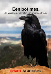 Omslag van Een bot mes