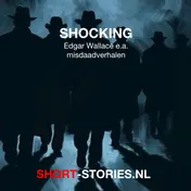Omslag van Shocking