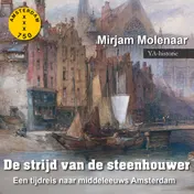 Omslag van De strijd van de steenhouwer
