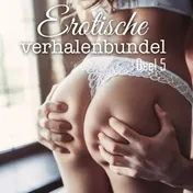 Omslag van Erotische verhalenbundel