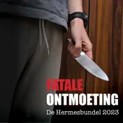 Omslag van Fatale ontmoeting