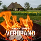 Omslag van Verbrand