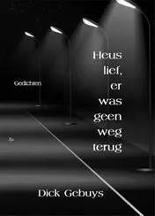 Omslag van Heus lief, er was geen weg terug