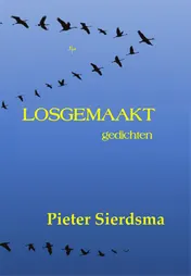 Omslag van Losgemaakt