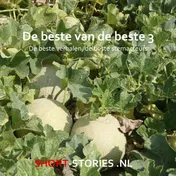 Omslag van 3