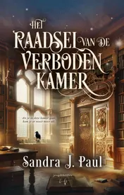 Omslag van Het Raadsel van de Verboden Kamer