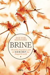 Omslag van Brine