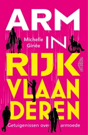 Omslag van Arm in rijk Vlaanderen