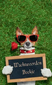 Omslag van Wachtwoordenboekje met alfabet – Password Organizer - Wachtwoorden notitieboek
