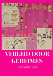 Omslag van Verleid door geheimen