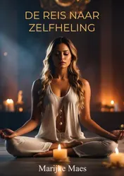 Omslag van De reis naar zelfheling