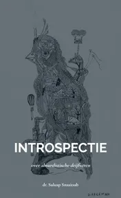 Omslag van Introspectie