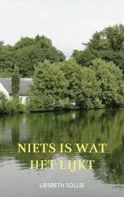 Omslag van Niets is wat het lijkt