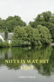 Omslag van Niets is wat het lijkt