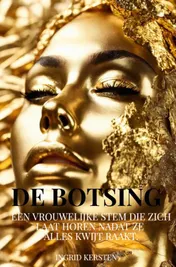 Omslag van De botsing