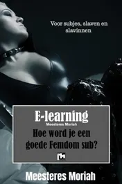 Omslag van Hoe word je een goede Femdomsub?