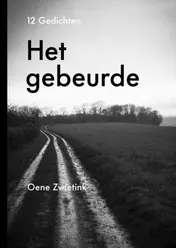 Omslag van Het gebeurde