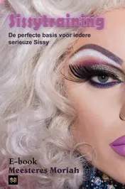Omslag van Sissytraining