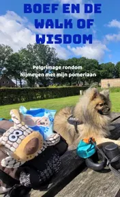 Omslag van Boef en de Walk of Wisdom
