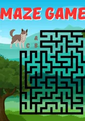Omslag van Maze Games