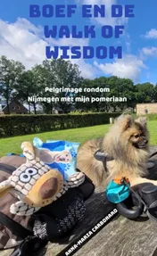 Omslag van Boef en de Walk of Wisdom