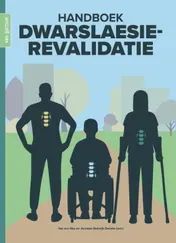 Omslag van Handboek dwarslaesierevalidatie