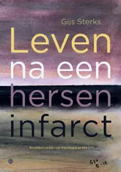 Omslag van Leven na een herseninfarct