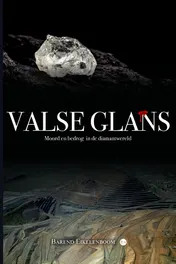 Omslag van Valse glans
