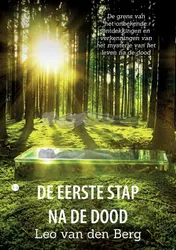 Omslag van De eerste stap na de dood