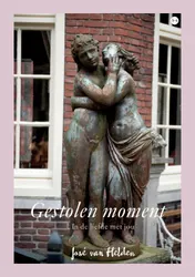 Omslag van Gestolen moment