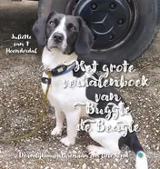 Omslag van Het grote verhalenboek van Buggle de Beagle