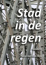 Omslag van Stad in de regen.